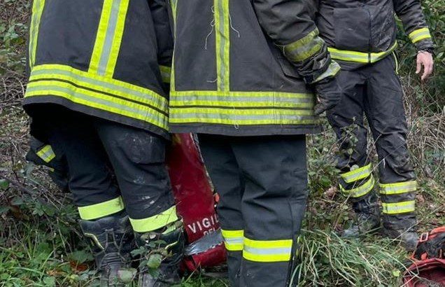 Cucciolo di cane incastrato in una grata: salvato dai vigili del fuoco