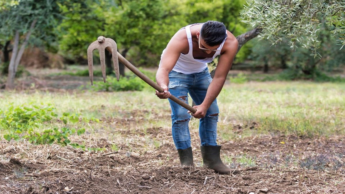 Piano di ripresa nazionale: la Campania chiede al governo 641 milioni per l’agricoltura