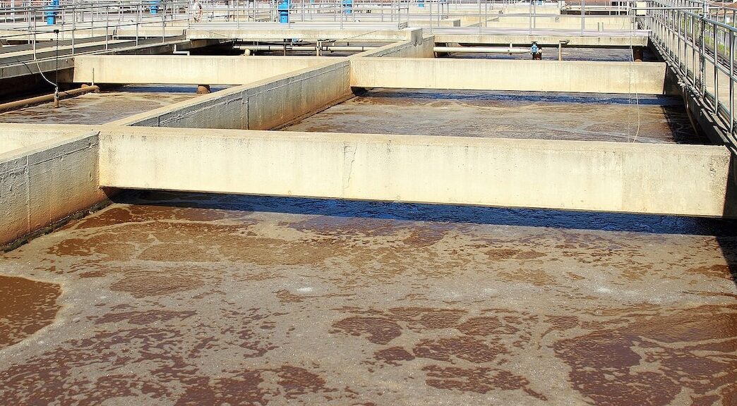 Depuratori, Codacons Cilento: «Chiarezza sul trattamento delle acque reflue»