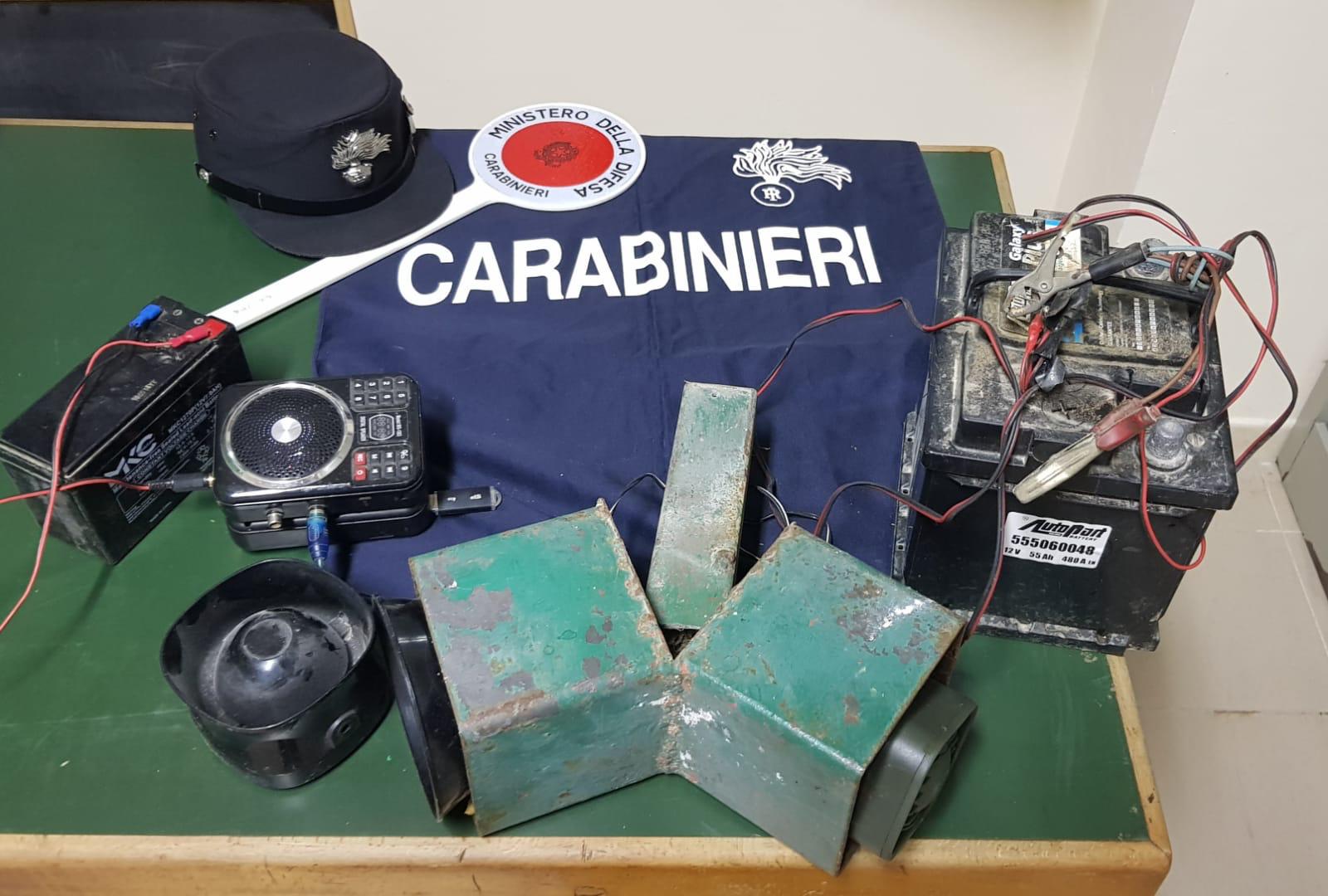 Cilento, uccidono le quaglie utilizzando richiamo illegale: cacciatori nei guai