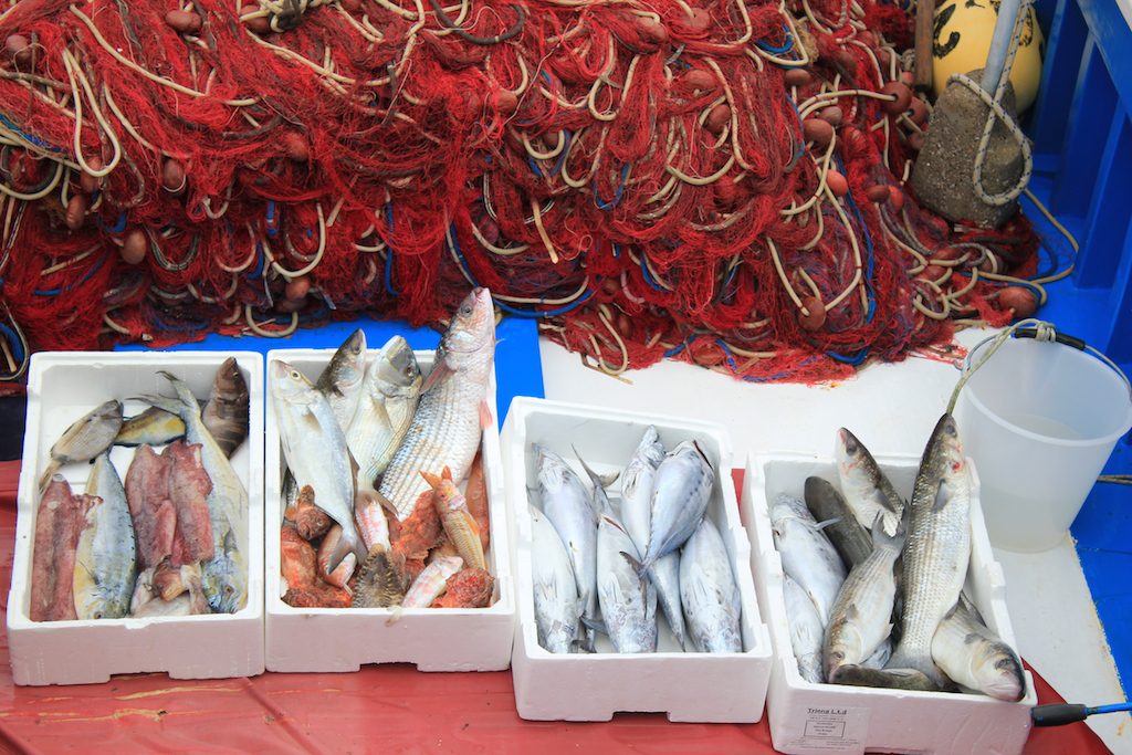 Al Sacco di Sant’Arsenio show cooking sul ‘pescato’ delle aree marine protette del Cilento