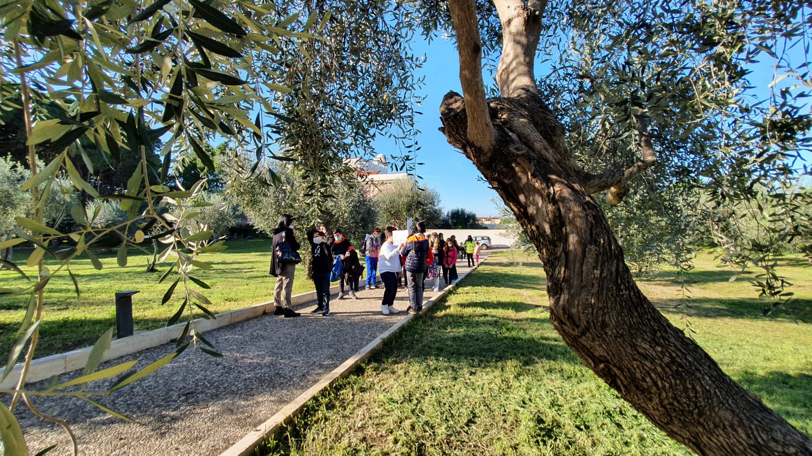 Carabinieri Parco e studenti insieme, così Castellabate festeggia la “Giornata Nazionale dell’Albero”