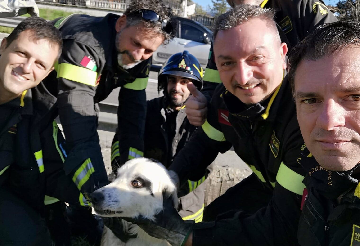 Cane cade in un pozzo ad Atena Lucana, vigili del fuoco lo salvano