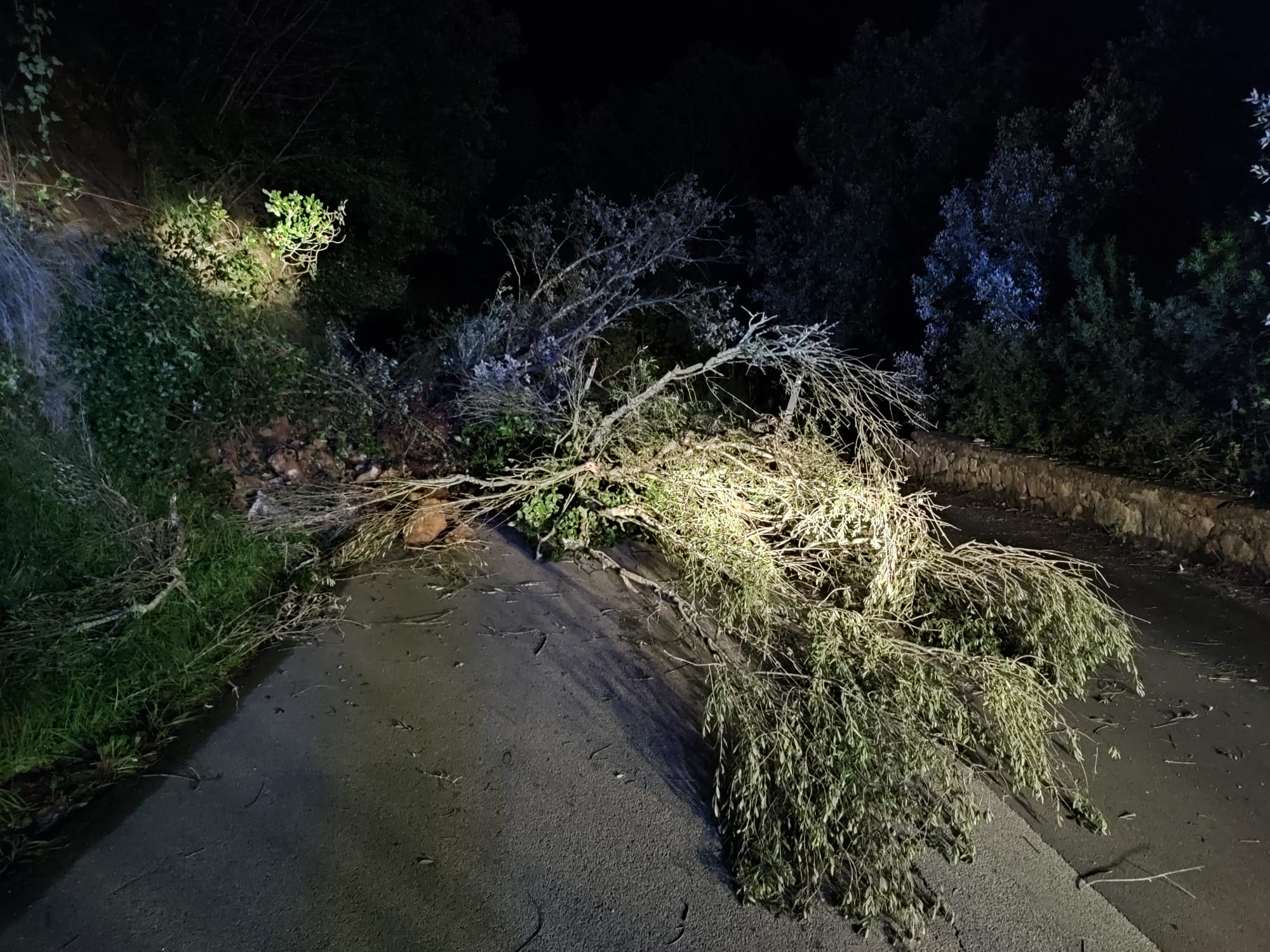 Frana tra Camerota e Marina, vigili del fuoco al lavoro per liberare la strada da alberi e detriti