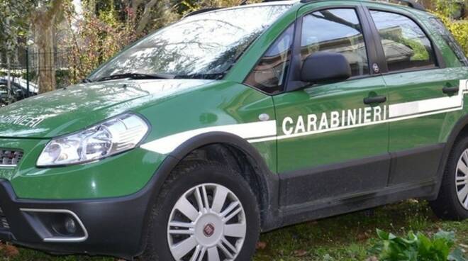 Abusi edilizi nel Cilento: intervento dei carabinieri forestali a Castellabate