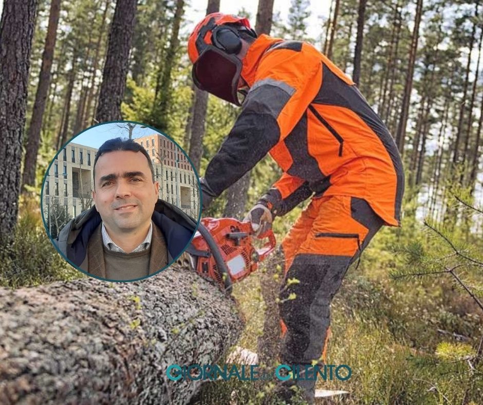 Idraulico forestali, interrogazione del consigliere Pierro: «Regione Campania impantanata»