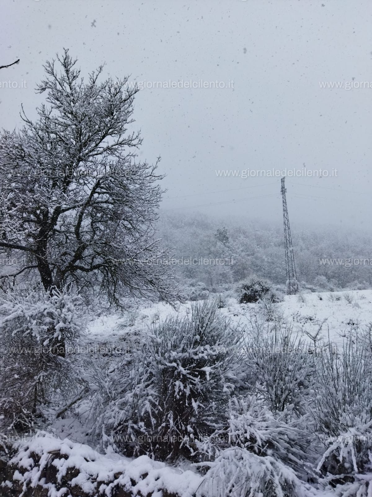 Freddo e pioggia in Cilento, neve nel Vallo di Diano