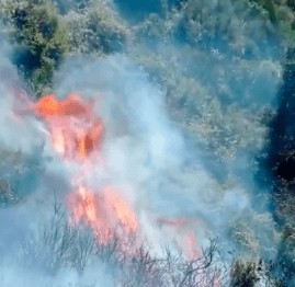 Incendio al Timpone a Sapri, in fiamme la macchia mediterranea