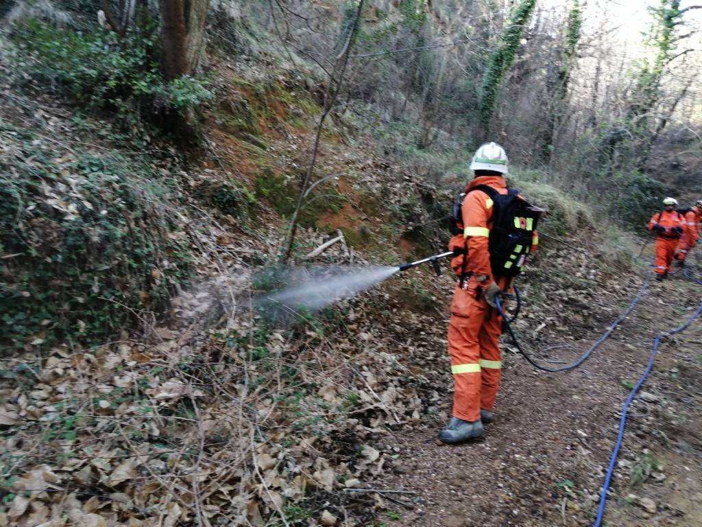 Protezione civile, via ai corsi provinciali per operatori antincendio boschivo