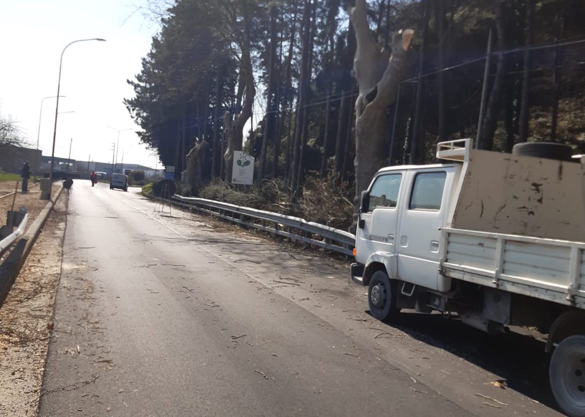 Polla, partiti i lavori: strada ripavimentana nel tratto per Sant’Arsenio