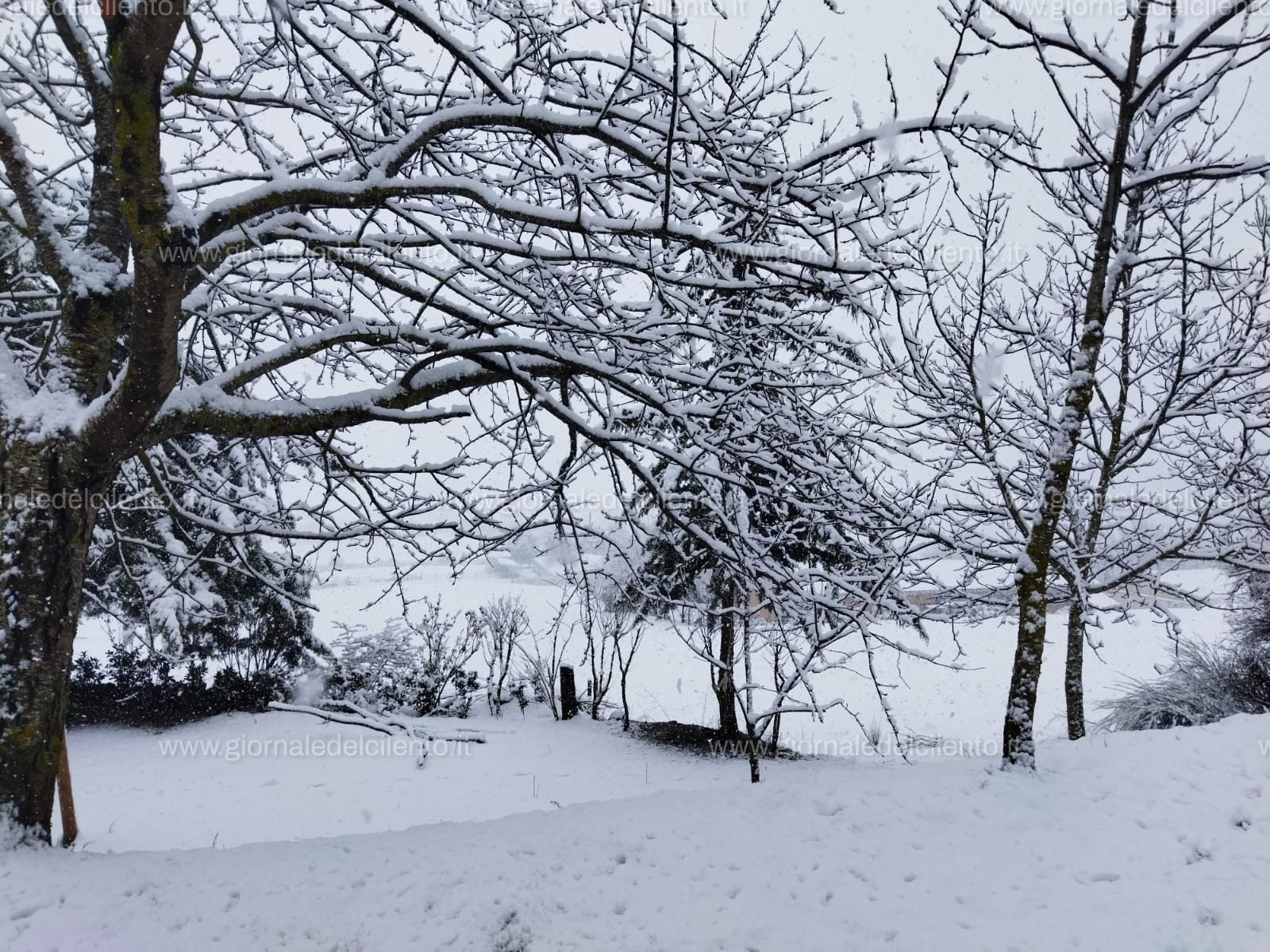 Neve, sindaco chiude scuola a Tardiano di Montesano sulla Marcellana