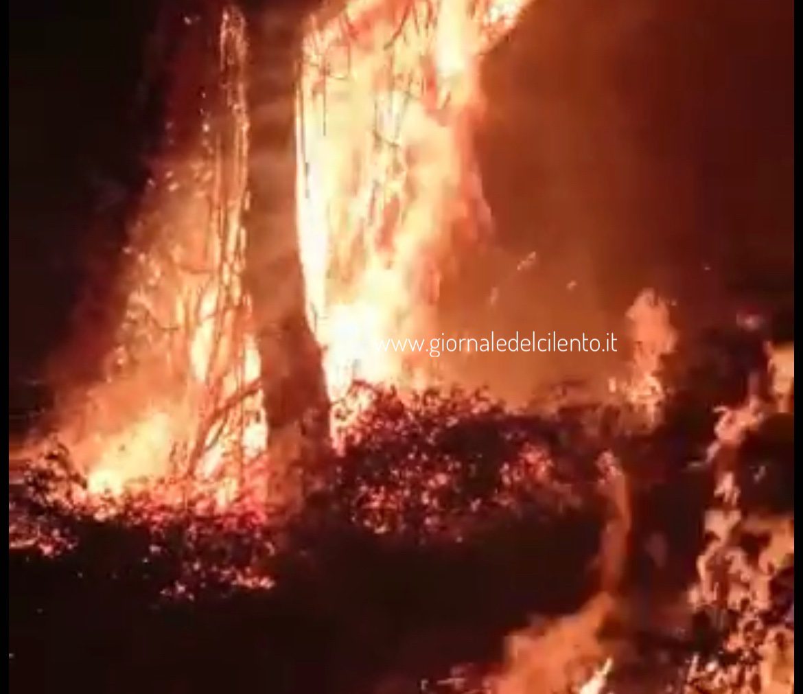 Incendio a San Giovanni a Piro, vigili del fuoco in azione