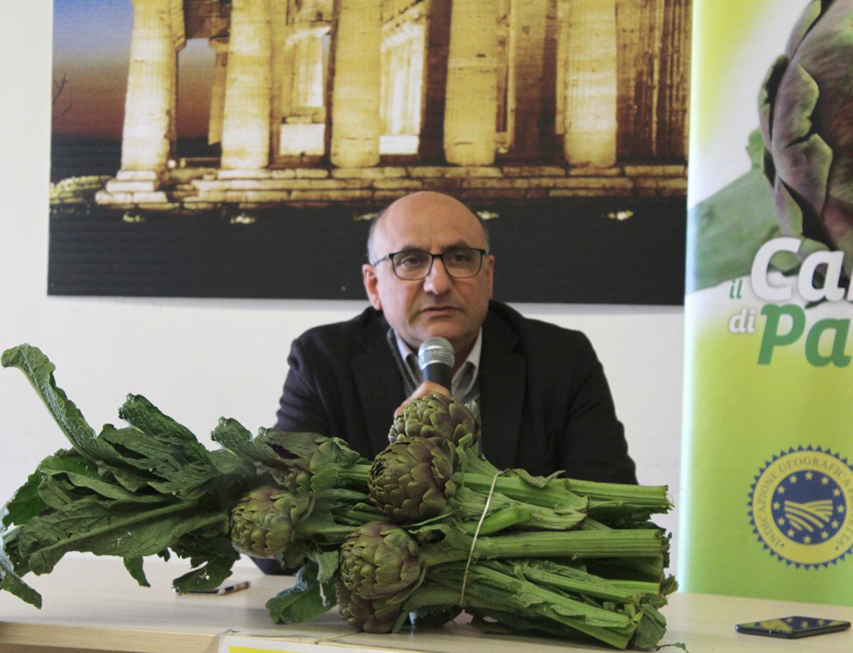 Carciofo di Paestum Igp, al via la campagna di promozione