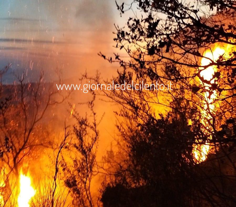 Incendio tra Ascea e Pisciotta, in fiamme 3 ettari di macchia mediterranea