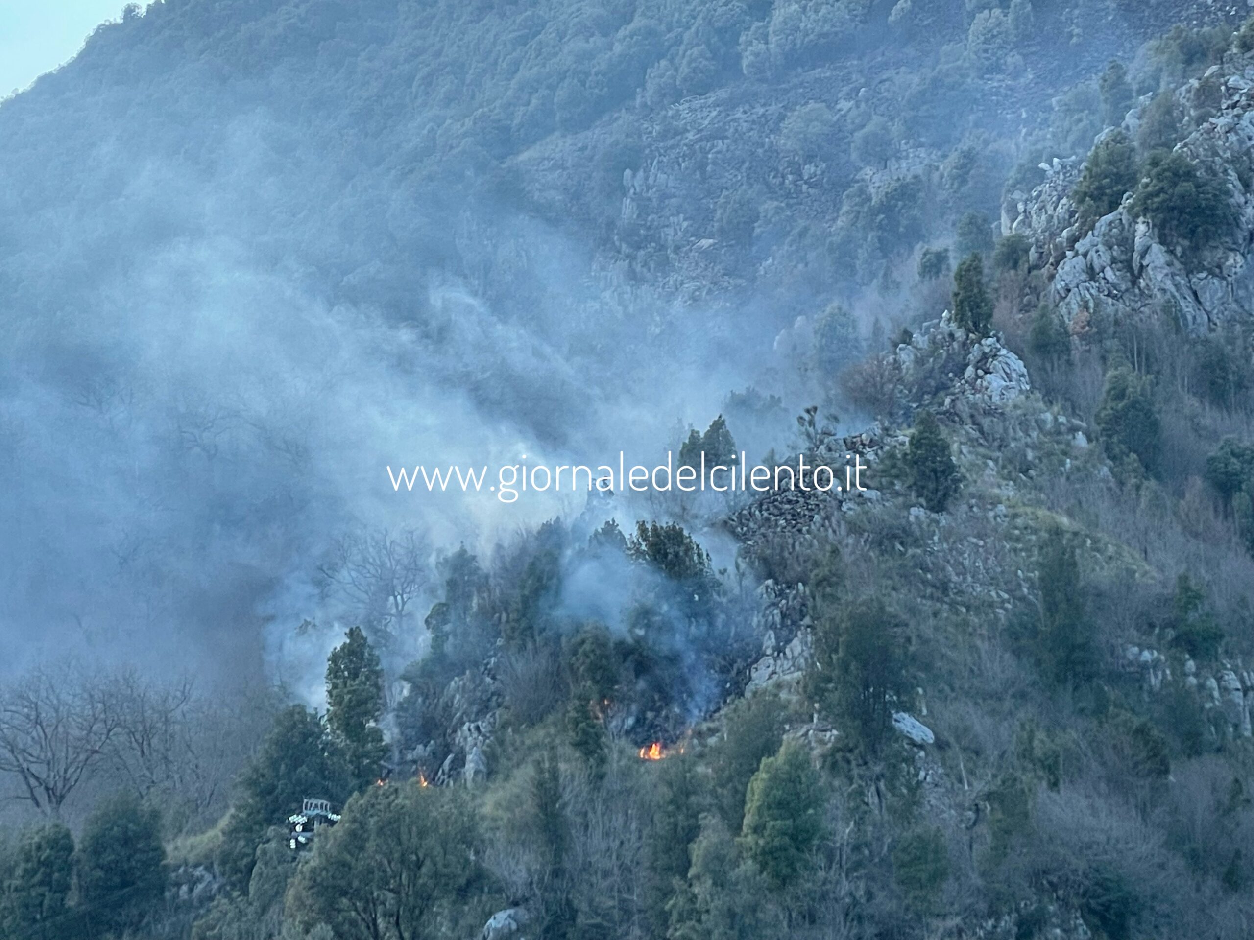 Casaletto Spartano, in fiamme la collina: Vigili del fuoco salvano uliveto