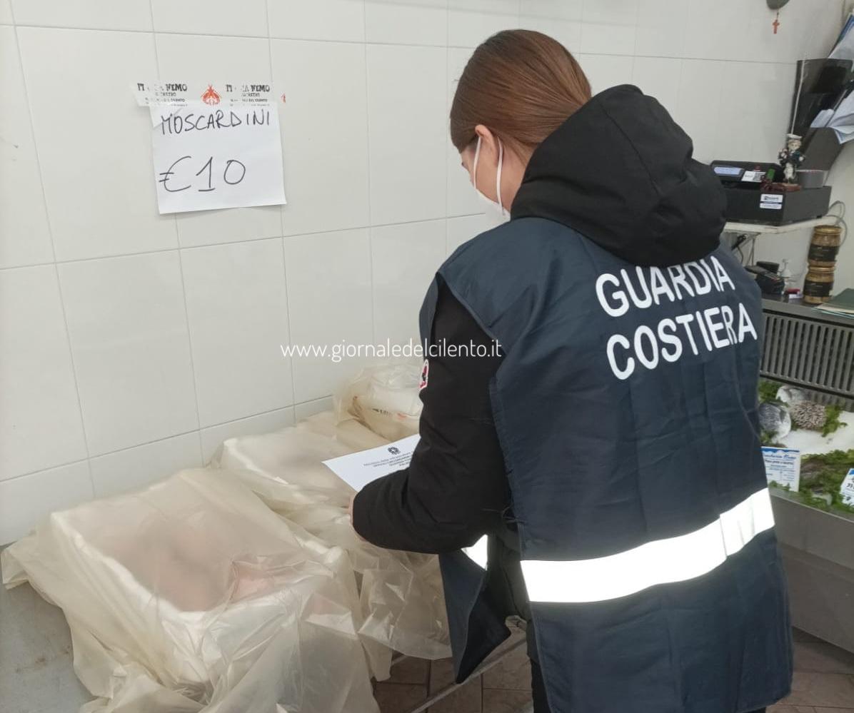 Vasta operazione della Guardia costiera di Palinuro: 90 chili di pesce sequestrati nel basso Cilento