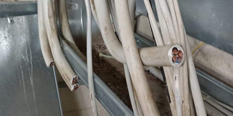 Furto di cavi elettrici agli impianti di irrigazione nel Vallo di Diano