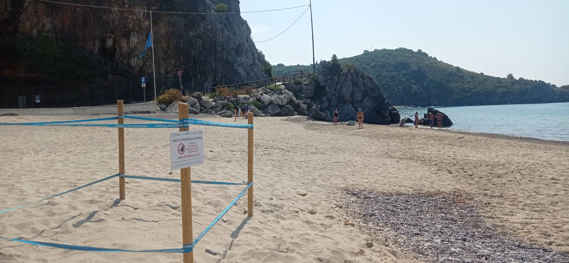 A Marina di Camerota il primo nido di tartaruga Caretta Caretta dell’estate