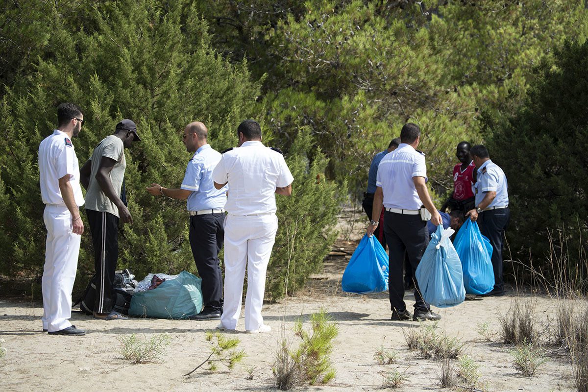 Camerota, operazione spiagge sicure e pulite: multe per proprietari cani e sequestro merce contraffatta