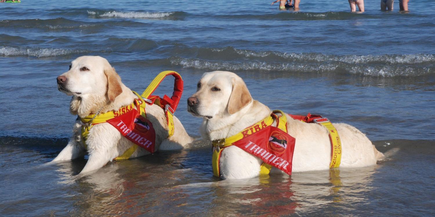 Palinuro, affonda pedalò: cani-bagnini salvano 5 ragazzi