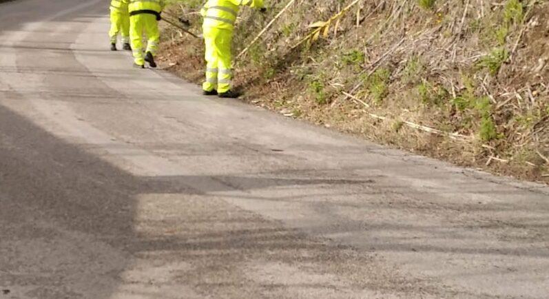 Ritardi nella pulizia delle strade del Cilento, Codacons: «Subito interventi per evitare incendi e incidenti mortali»