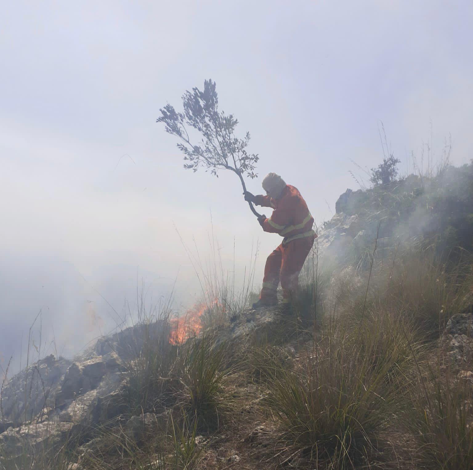 San Giovanni a Piro, fiamme alla Masseta: mezzo aereo per spegnere il rogo