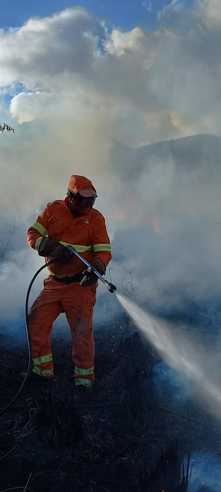 Incendio a San Nicola di Centola: vento rende difficili operazioni spegnimento