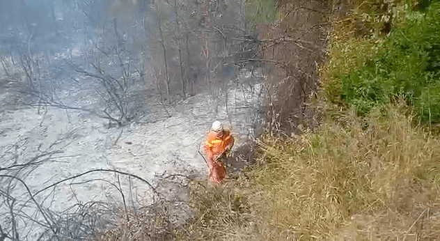 Cilento e Golfo di Policastro bruciano: incendi a Sapri e Massicelle