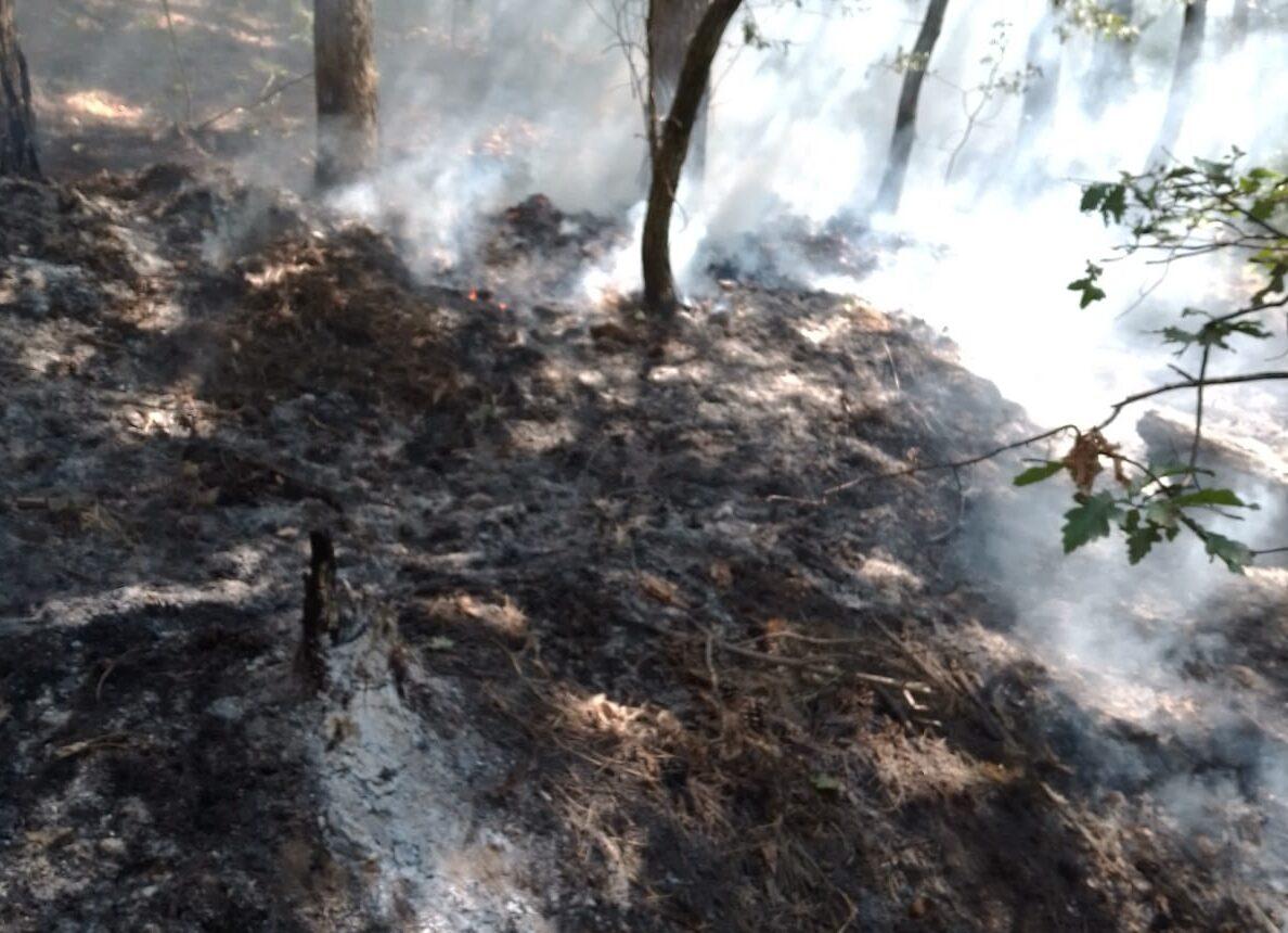 Maltempo a Montesano sulla Marcellana, terreno colpito da un fulmine va in fiamme