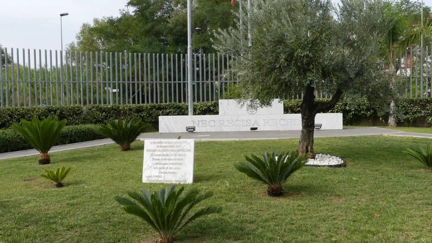 Inaugurato “l’albero della legalità” nella sede della Guardia di finanza di Agropoli