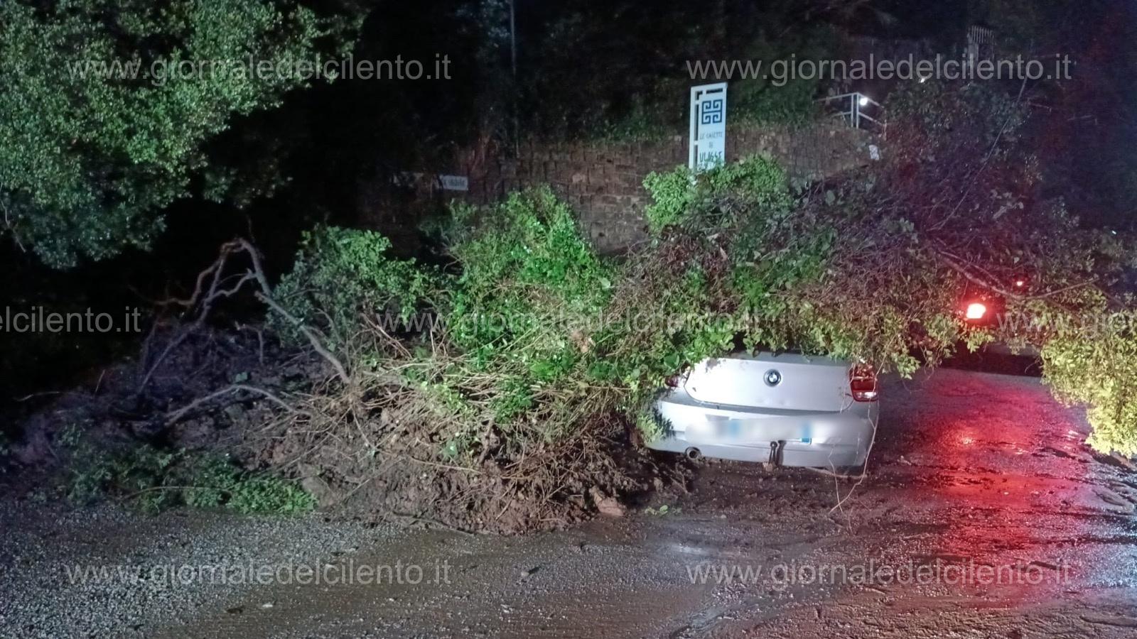 Maltempo, auto centrata da un albero a Castellabate