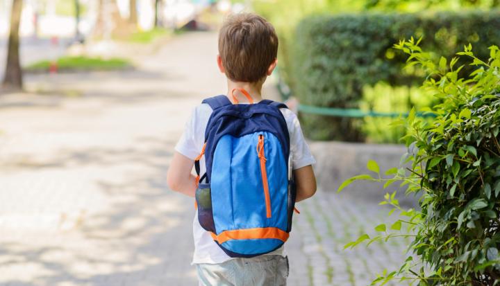 Genitori separati: bimbo del Vallo di Diano senza scuola da oltre un mese