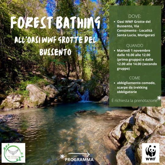 Forest bathing nel Cilento, a Morigerati una giornata di full immersion nella natura