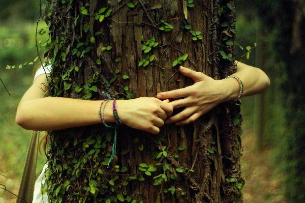 Agropoli, torna la Festa dell’albero: 3 giornate per sensibilizzare gli studenti