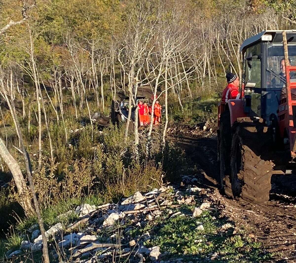 Casalbuono, si ferisce mentre taglia albero: 27enne grave