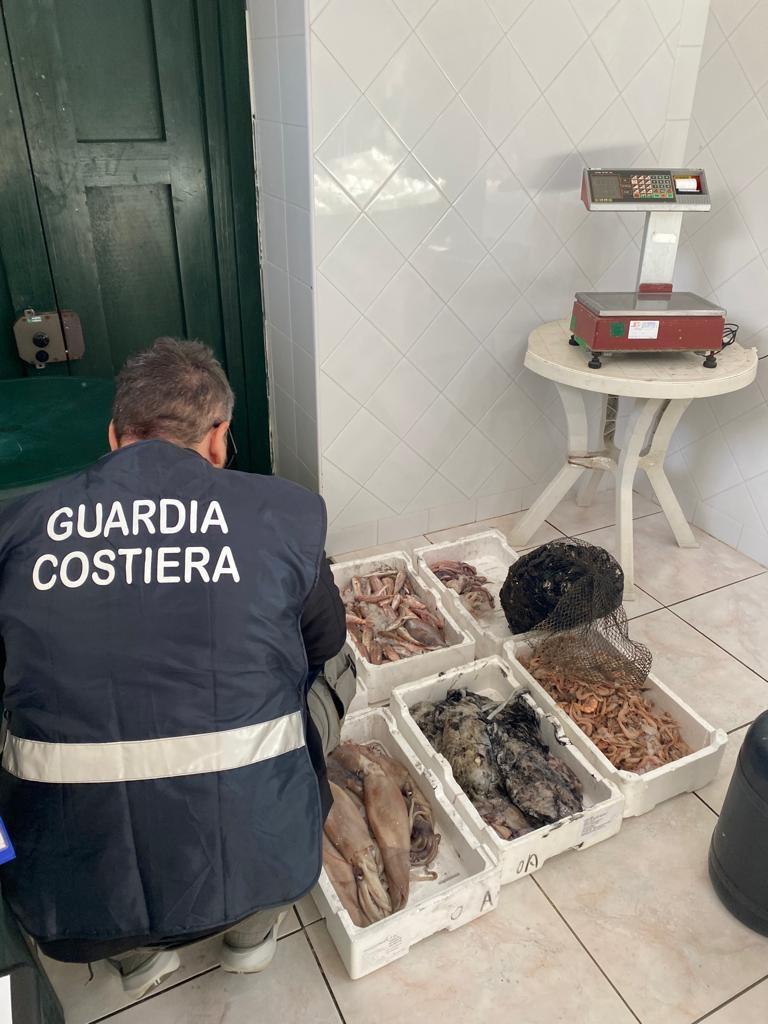 Pesce non tracciato, sanzioni per un ristorante di Scario e due pescherie di Vallo della Lucania 