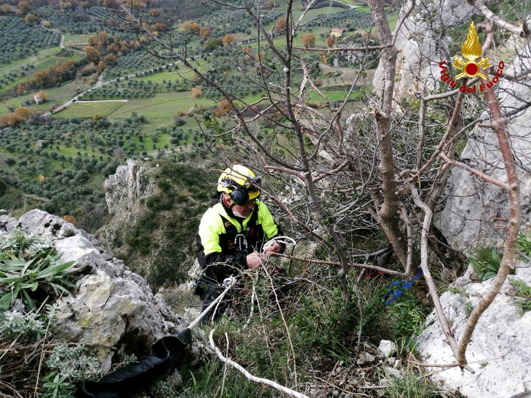 Cane da caccia precipita in un dirupo a Caggiano: salvato in elicottero | FOTO