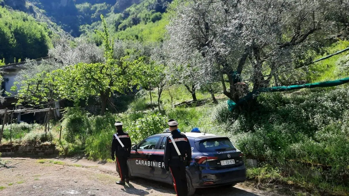 Banda Audi grigia, i due ricercati ad Orria hanno rubato un’auto ad una donna per fuggire