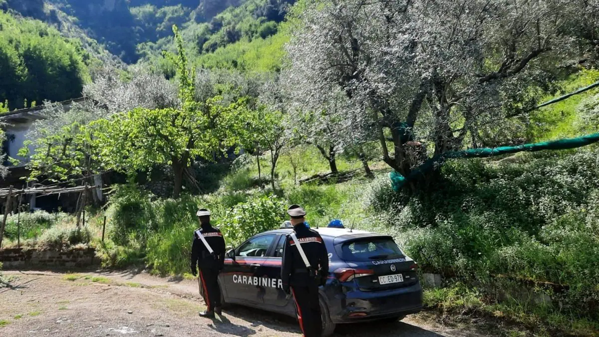 Montano Antilia, diversi colpi nella notte: torna l’incubo dei ladri