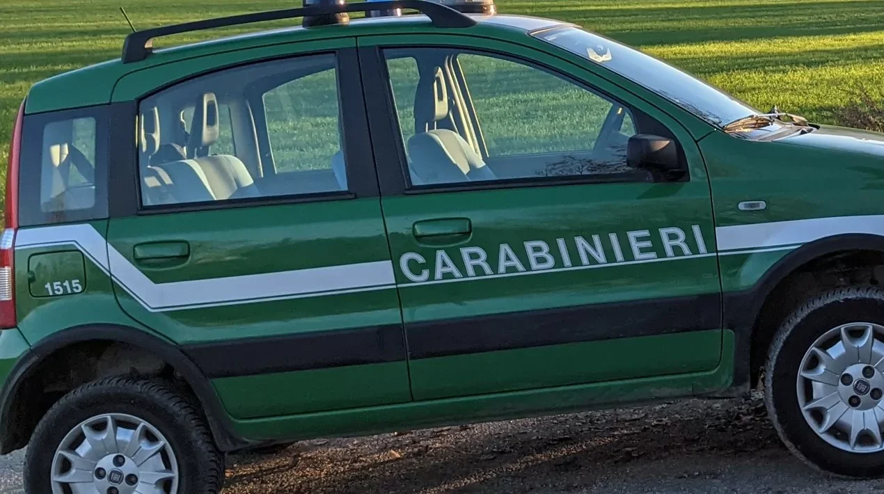 Abusivismo edilizio: 1.7mila controlli dei Carabinieri Forestali di Salerno nel 2022