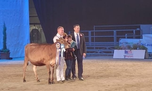 La vacca “Lisa” dell’azienda Bonomo di Sanza premiata al Salone di Cremona