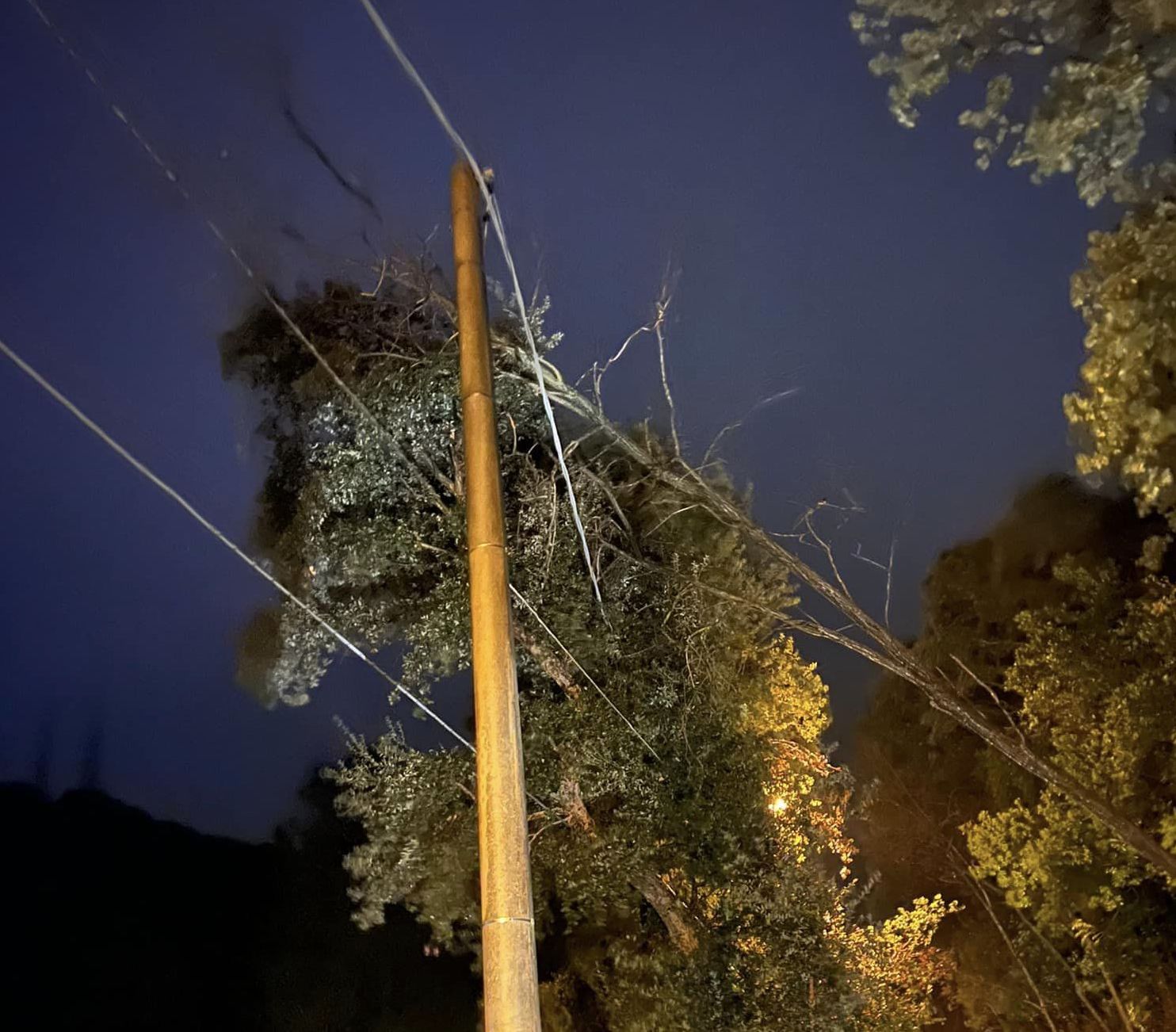 Vibonati, albero cade sui fili dell’alta tensione: strada chiusa