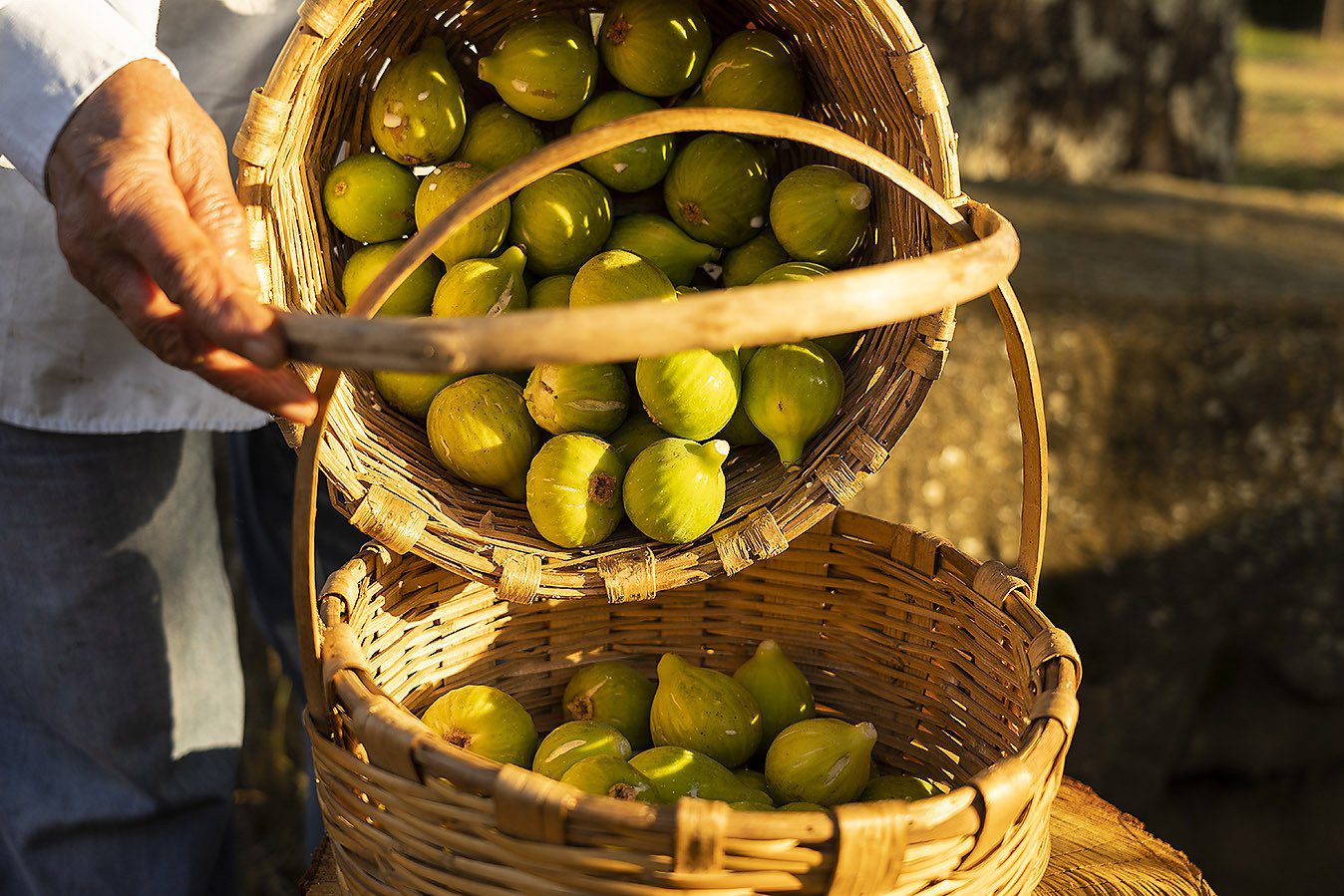 Cilento Tastes: nasce l’evento che aggrega le eccellenze enogastronomiche del Cilento