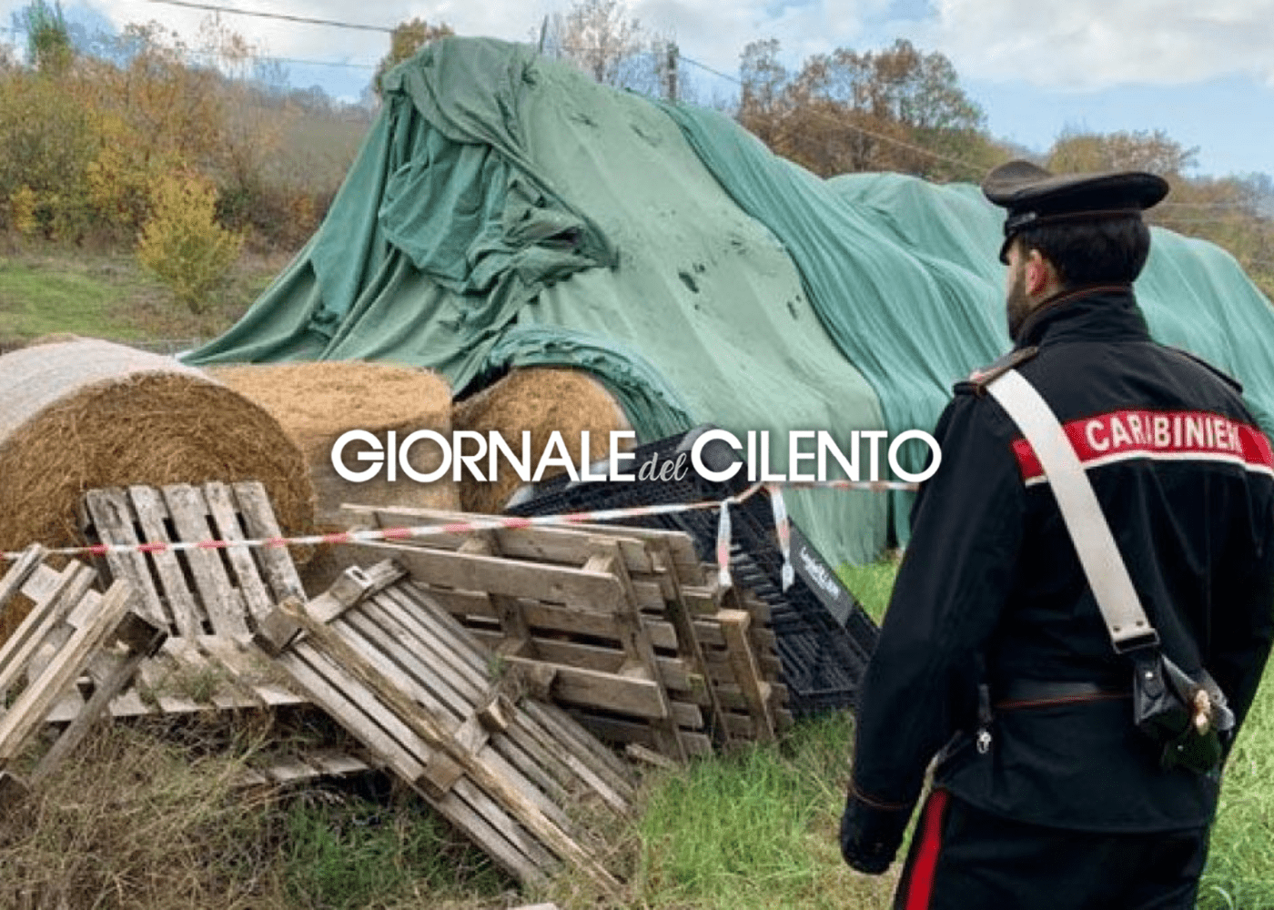 Cilento, operaio travolto e ucciso da rotoballa di fieno: aperta indagine