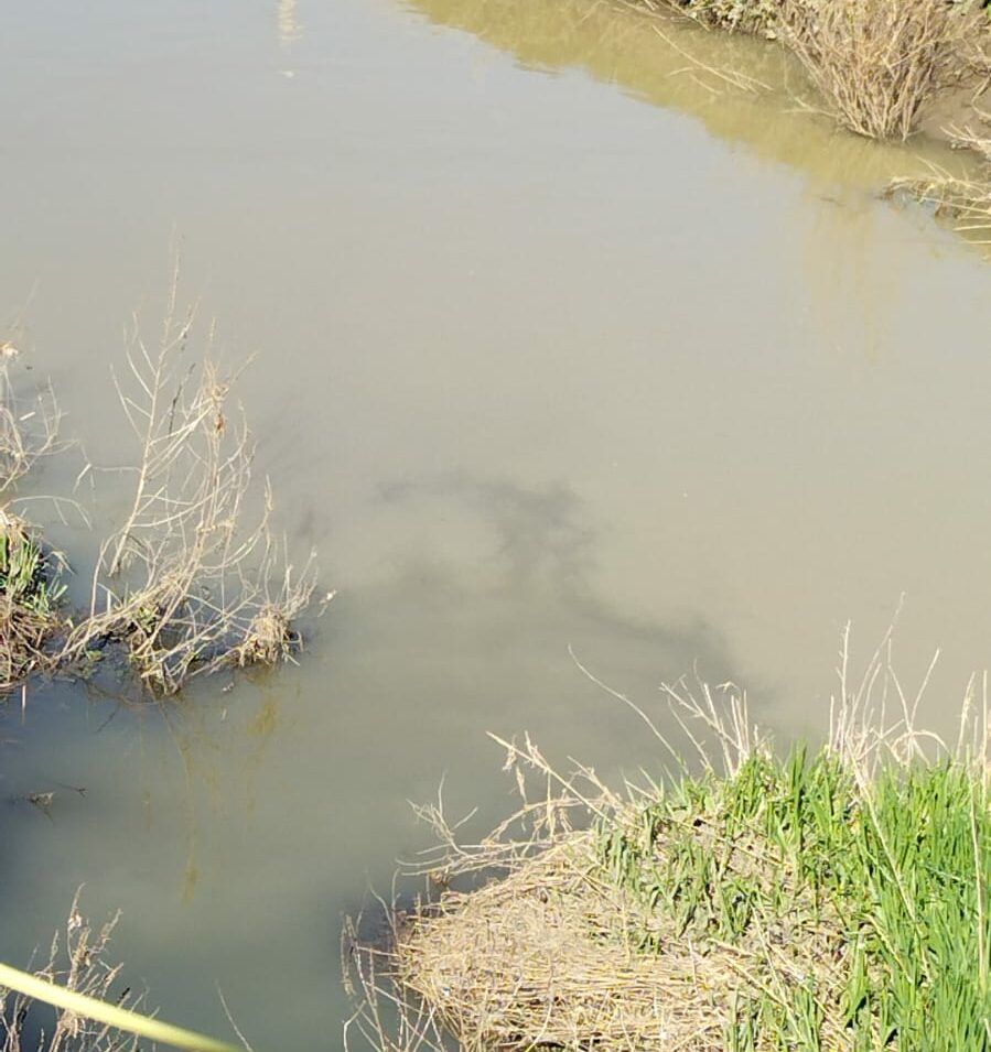 Polla, acqua torbida e melmosa dall’affluente del fiume Tanagro