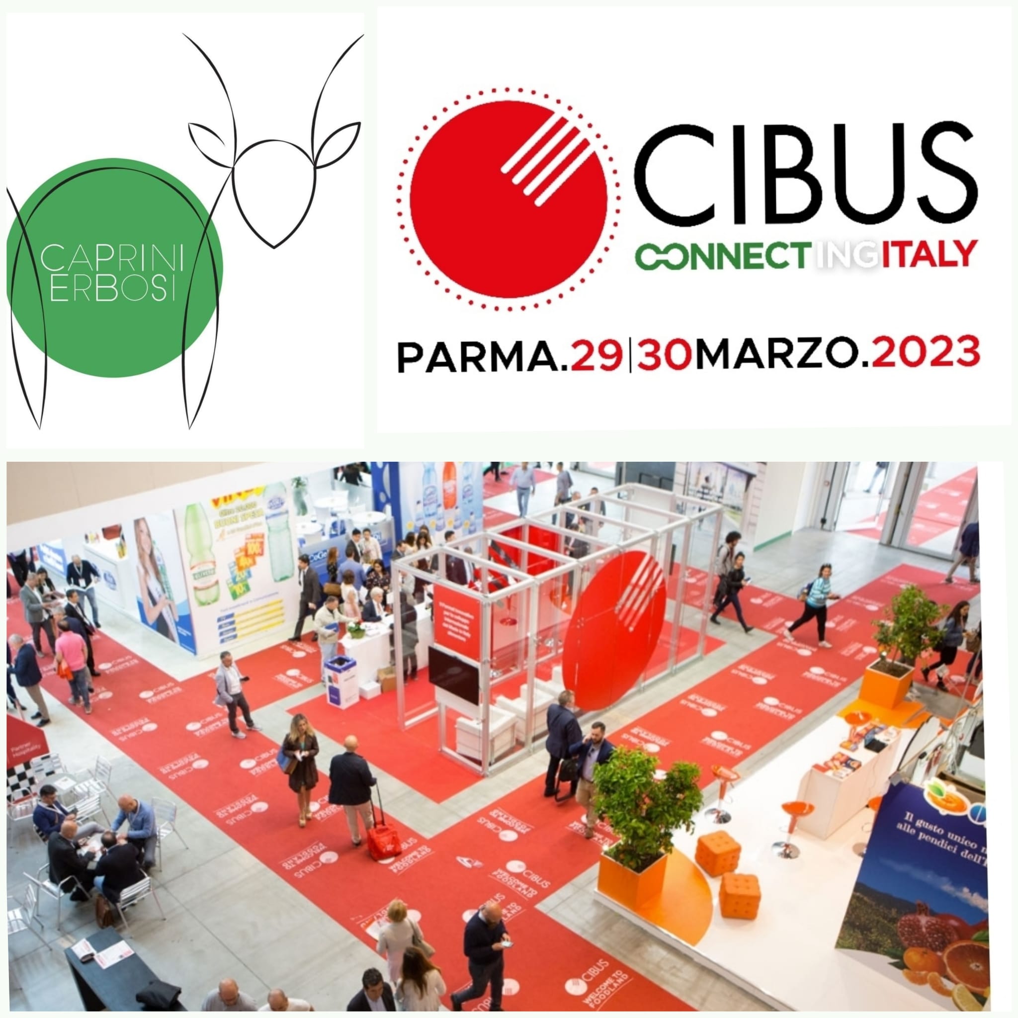 <strong>Cilento, il progetto ‘Caprini erbosi’ a Cibus connecting Italy 2023</strong>