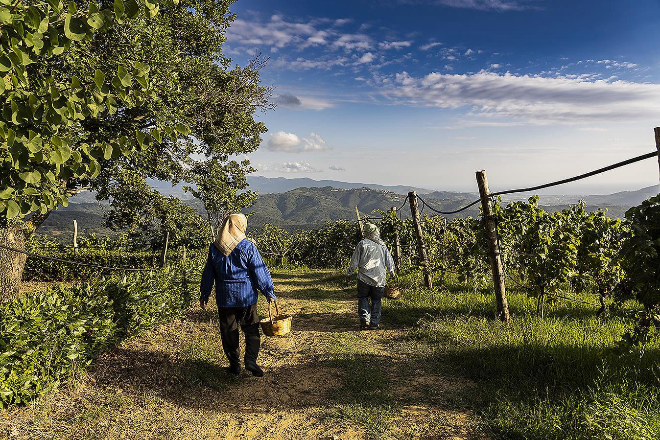 Prende forma Cilento Tastes,  l’evento a Capaccio con gli artigiani del gusto (e non solo)