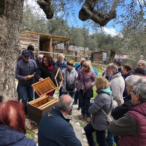 Sala Consilina, svago e inclusione sociale alla Fattoria didattica Natura Solidale