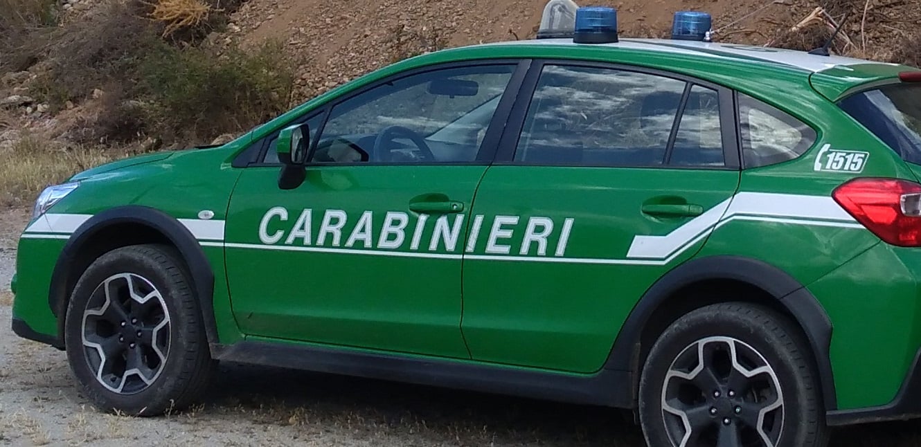 Scoperti abusi edilizi a Montecorice: carabinieri forestali individuano attività illecite
