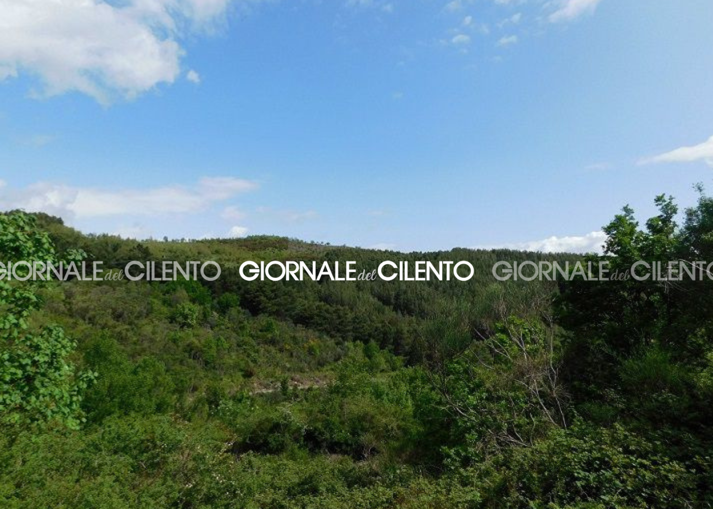 Cilento, via ad interventi di forestazione protettiva nelle aree a rischio idrogeologico